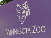 Minnesota Zoo Taxi Service